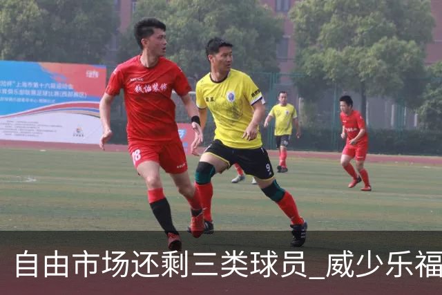 自由市场还剩三类球员 威少乐福领衔失业大军？