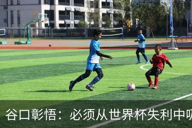 谷口彰悟：必须从世界杯失利中吸取教训，全力奔赴下一段征程